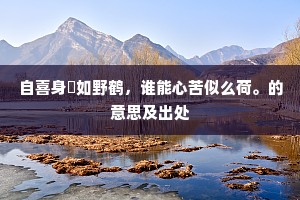 自喜身閒如野鹤，谁能心苦似么荷。的意思及出处