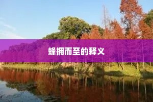 蜂拥而至的释义