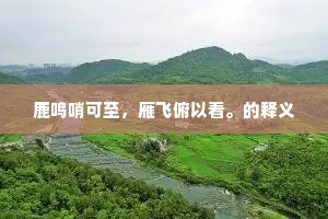 鹿鸣哨可至，雁飞俯以看。的释义