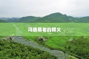 冯唐易老的释义