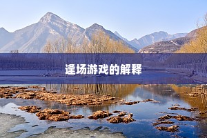 逢场游戏的解释
