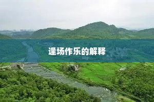 逢场作乐的解释