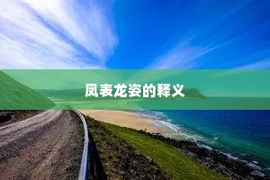凤表龙姿的释义