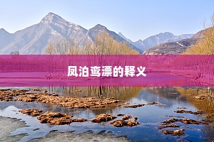 凤泊鸾漂的释义