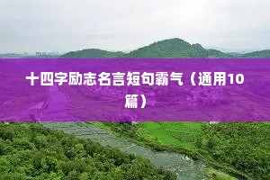 十四字励志名言短句霸气（通用10篇）