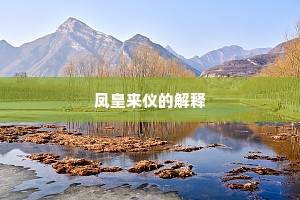 凤皇来仪的解释