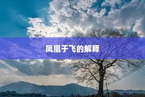 凤凰于飞的解释