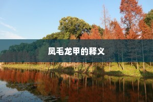 凤毛龙甲的释义