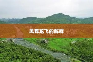 凤舞龙飞的解释