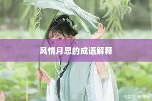 风情月思的成语解释