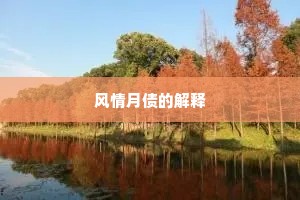 风情月债的解释