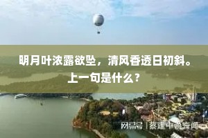明月叶浓露欲坠，清风香透日初斜。上一句是什么？