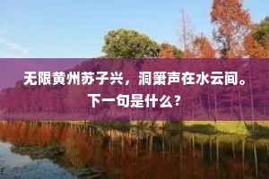 无限黄州苏子兴，洞箫声在水云间。下一句是什么？