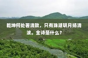 乾坤何处著清致，只有珠湖明月扬清波。全诗是什么？