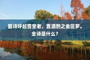 题诗呼起雪堂老，置酒酌之金叵罗。全诗是什么？