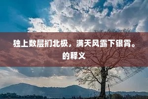 独上数层扪北极，满天风露下银霄。的释义