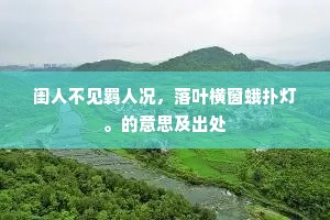闺人不见羁人况，落叶横窗蛾扑灯。的意思及出处