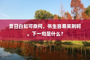 贯日白虹可奈何，书生容易笑荆轲。下一句是什么？