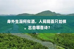 身外生涯何似酒，人间局面只如棋。出自哪首诗？