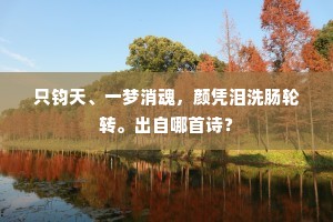 只钧天、一梦消魂，颜凭泪洗肠轮转。出自哪首诗？