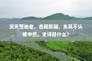 况天荒地老，名闻影隔，东风不认楼中燕。全诗是什么？