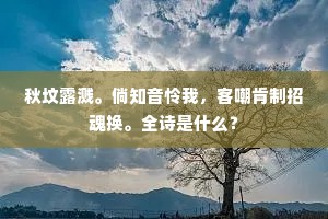 秋坟露溅。倘知音怜我，客嘲肯制招魂换。全诗是什么？