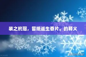 装之玳瑁，留抵返生香片。的释义