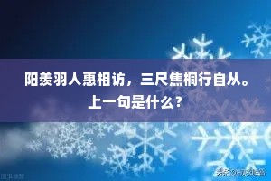 阳羡羽人惠相访,三尺焦桐行自从。上一句是什么? 阳羡羽人惠相访,三尺焦桐行自从。上一句是什么?