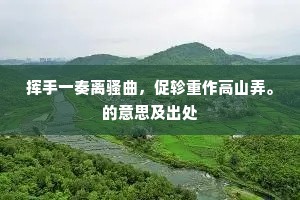 挥手一奏离骚曲，促轸重作高山弄。的意思及出处