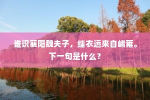 谁识襄阳魏夫子，缁衣远来自崤雍。下一句是什么？