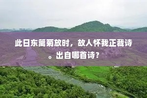 此日东篱菊放时，故人怀我正裁诗。出自哪首诗？
