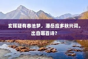 玄晖疑有春池梦，潘岳应多秋兴词。出自哪首诗？