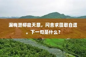 漏梅泄柳窥天意，问舍求田敢自遗。下一句是什么？