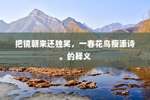 把镜朝来还独笑，一春花鸟瘦添诗。的释义