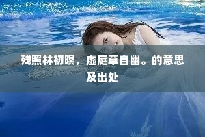 残照林初暝，虚庭草自幽。的意思及出处