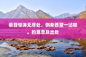 极目惊涛无尽处，侧身西望一沾襟。的意思及出处