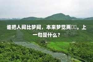 谁把人间比梦间，本来梦觉两閒閒。上一句是什么？