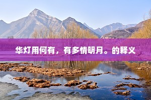 华灯用何有，有多情明月。的释义