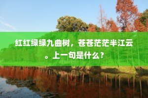 红红绿绿九曲树，苍苍茫茫半江云。上一句是什么？