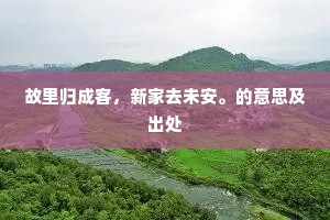 故里归成客，新家去未安。的意思及出处