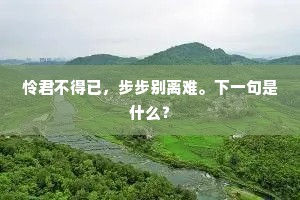 怜君不得已，步步别离难。下一句是什么？