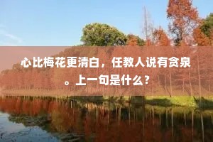 心比梅花更清白，任教人说有贪泉。上一句是什么？