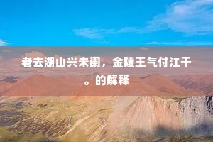 老去湖山兴未阑，金陵王气付江干。的解释
