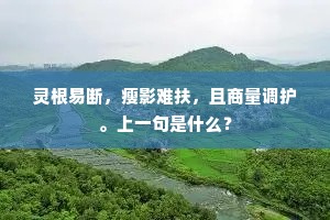 灵根易断，瘦影难扶，且商量调护。上一句是什么？