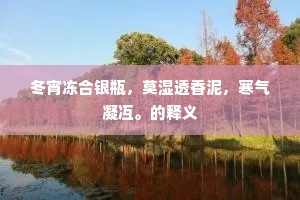 冬宵冻合银瓶，莫湿透香泥，寒气凝冱。的释义