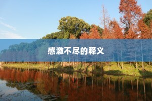 感激不尽的释义
