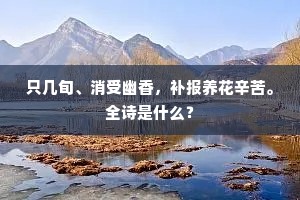 只几旬、消受幽香，补报养花辛苦。全诗是什么？