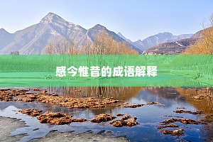 感今惟昔的成语解释