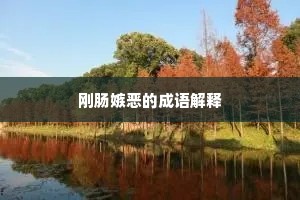 刚肠嫉恶的成语解释