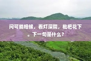 问可能相候，看灯深院，枇杷花下。下一句是什么？